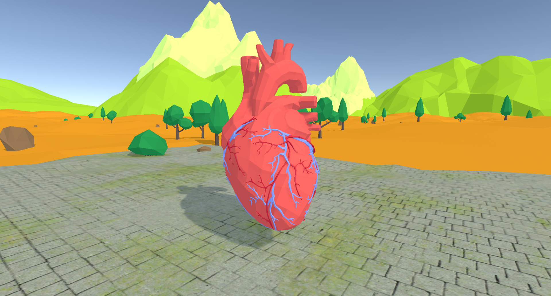 MetaCardio VR